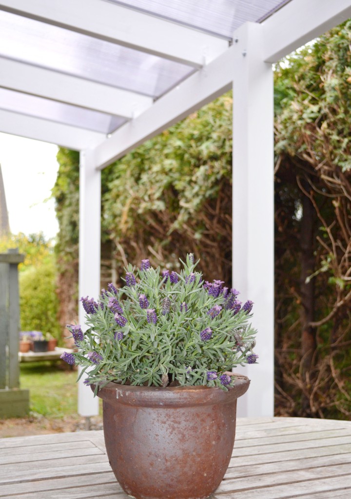 carportfabrik_de_terrassendach_05